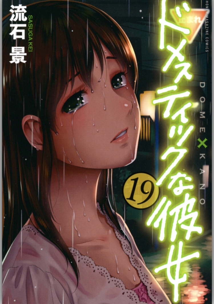 ドメスティックな彼女 19巻 を無料で読める方法は Zipやrar 漫画村にはあるの 漫画あらすじ 無料ブログ